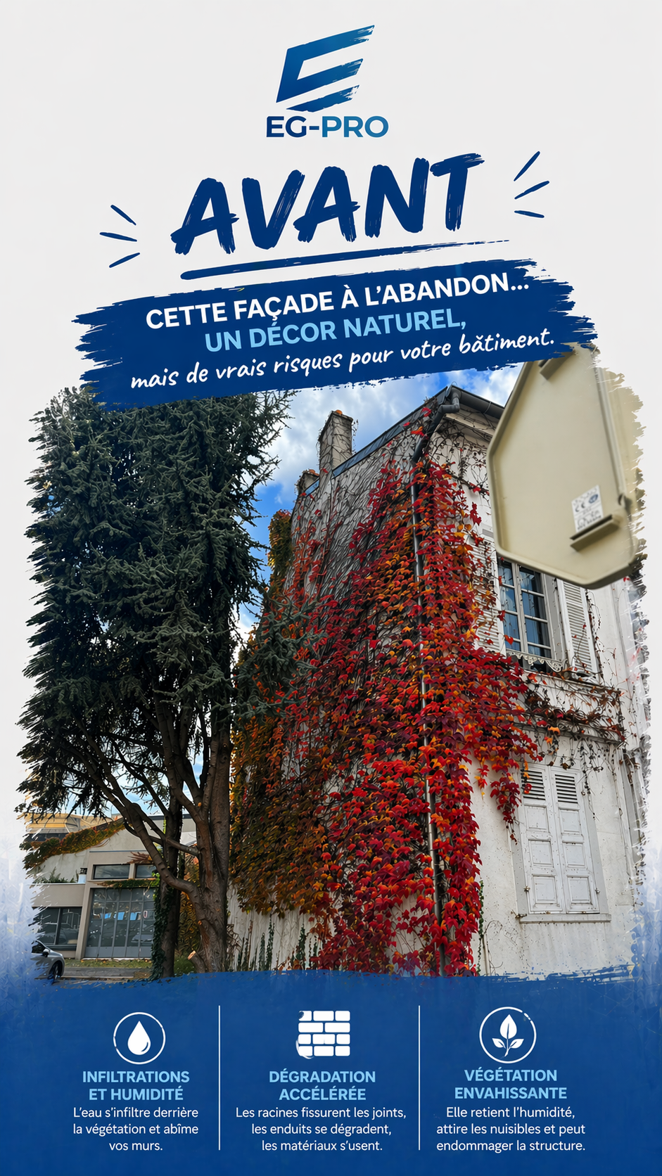 Façade envahie → assainie — Avant